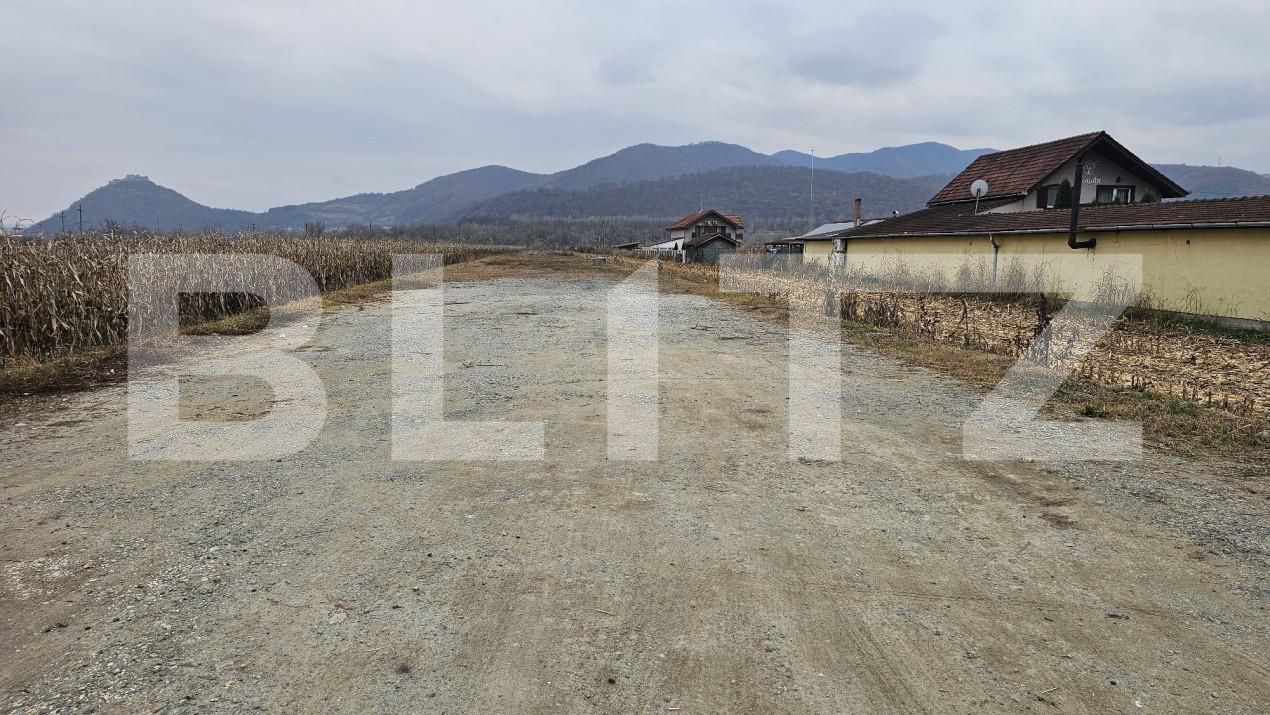 Teren de vânzare Soimus - 162095TV | BLITZ Deva | Poza2