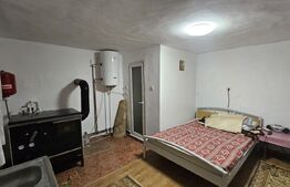 Casă spațioasă cu grădină, la doar 15 minute de Deva