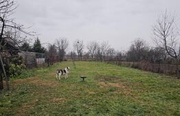 Casă spațioasă cu grădină, la doar 15 minute de Deva