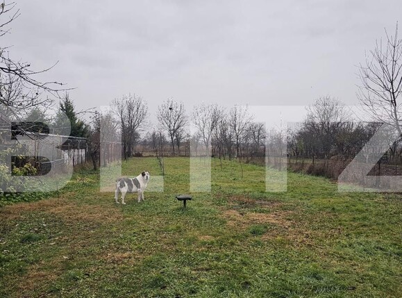 Casa de vânzare 3 camere Harau - 162250CV | BLITZ Deva | Poza10