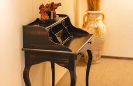  Pensiune 11 camere, 480 mp, în Deva, exclusivitate BLITZ!