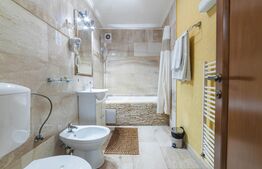  Pensiune 11 camere, 480 mp, în Deva, exclusivitate BLITZ!