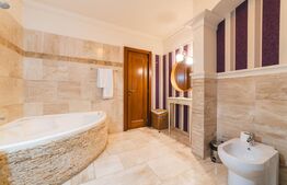  Pensiune 11 camere, 480 mp, în Deva, exclusivitate BLITZ!