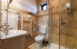  Pensiune 11 camere, 480 mp, în Deva, exclusivitate BLITZ!