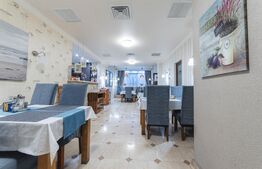  Pensiune 11 camere, 480 mp, în Deva, exclusivitate BLITZ!