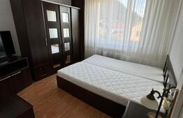 Apartament panoramic cu 3 camere, 77 mp, pe Strada Avram Iancu, Deva 