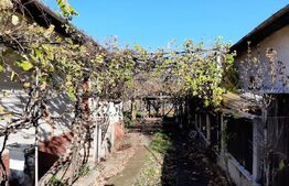 Casă individuală, 3 camere, 90 mp/587 mp teren, strada Horia, exlusivitate BLITZ