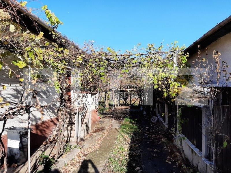 Casa de vânzare 3 camere Viile Noi - 162768CV | BLITZ Deva | Poza2