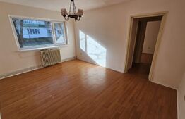 Apartament 2 camere, 44 mp, zona Gojdu-Deva 