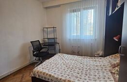 Apartament renovat, 2 camere, 40 mp, pe strada Minerului, Deva 