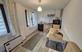 Casă cu 3 camere, 90 mp utili, 1000 mp teren, în Căinelu de Jos