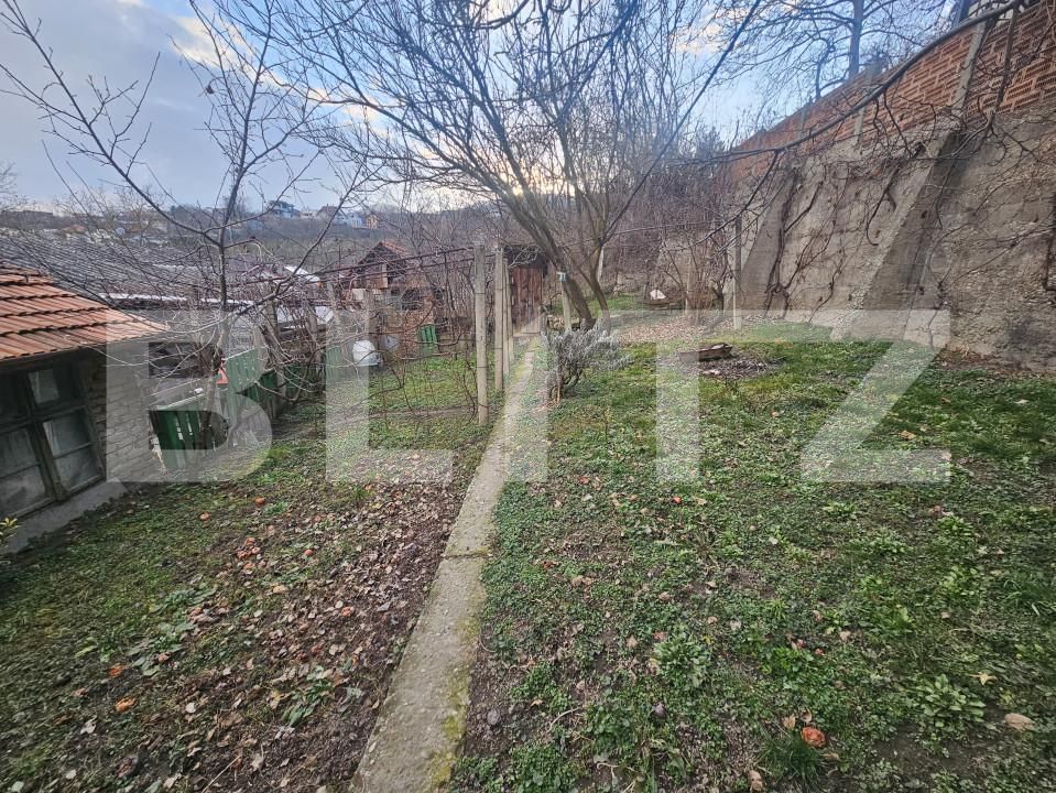 Casa de vânzare 4 camere Cetate - 164873CV | BLITZ Deva | Poza9