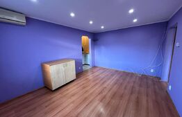 Apartament de vanzare, cu 2 camere, 39 mp, zona Aleea Armatei, Deva