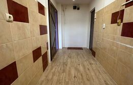 Apartament de vanzare, cu 2 camere, 39 mp, zona Aleea Armatei, Deva