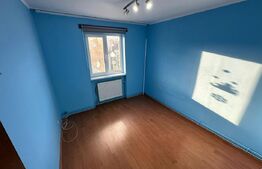 Apartament de vanzare, cu 2 camere, 39 mp, zona Aleea Armatei, Deva