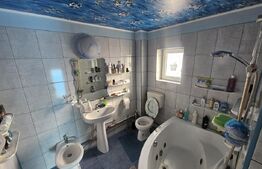 Casă la gri, 4 camere, 290 mp, zona Bălata, Șoimuș