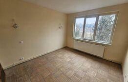Apartament de 2 camere, 45 mp, in Hunedoara