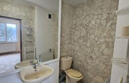 Apartament de 2 camere, 45 mp, in Hunedoara