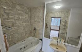 Apartament de 2 camere, 45 mp, in Hunedoara