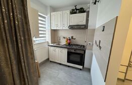 Garsonieră modernă cu o cameră