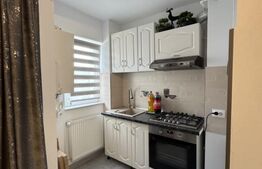 Garsonieră modernă cu o cameră