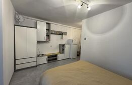 Garsonieră modernă cu o cameră