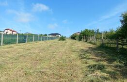 Teren de vânzare Periferie - 178154TV | BLITZ Deva | Poza3