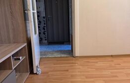 Apartament de vanzare, cu 2 camere, 34 mp, zona Maxxa, Deva