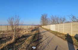 Teren intravilan 1677 mp în Băcia 