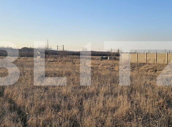 Teren de vânzare Vest - 166354TV | BLITZ Deva | Poza5