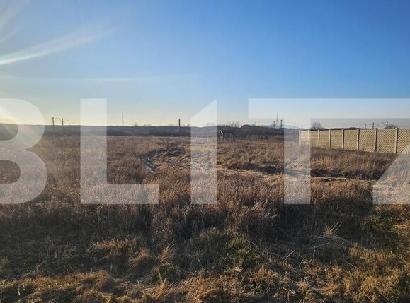 Teren de vânzare Vest - 166354TV | BLITZ Deva | Poza3