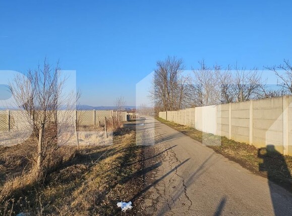 Teren de vânzare Vest - 166354TV | BLITZ Deva | Poza4