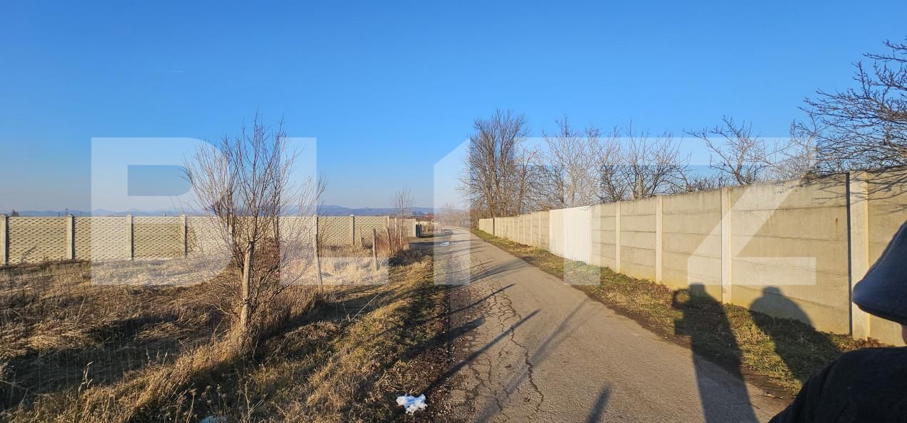 Teren de vânzare Vest - 166354TV | BLITZ Deva | Poza4