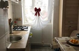 Garsonieră de vanzare, 33 mp, zona ultracentrală, Deva 