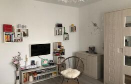 Garsonieră de vanzare, 33 mp, zona ultracentrală, Deva 