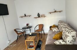 Garsonierade vanzare, 27 mp, zona Gojdu