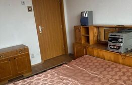 Apartament de vanzare, 2 camere, 40 mp, zona Gojdu
