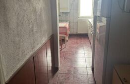 Apartament de vanzare, 2 camere, 40 mp, zona Gojdu