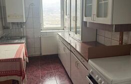 Apartament de vanzare, 2 camere, 40 mp, zona Gojdu