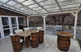 Casă în inima naturii, 140 mp  –  la doar 15 minute de Hunedoara