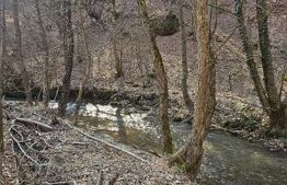 Casă în inima naturii, 140 mp  –  la doar 15 minute de Hunedoara