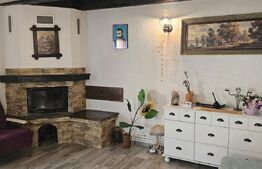 Casă în inima naturii, 140 mp  –  la doar 15 minute de Hunedoara