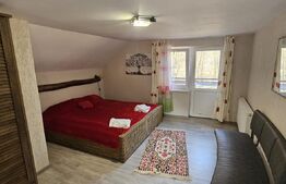 Casă în inima naturii, 140 mp  –  la doar 15 minute de Hunedoara