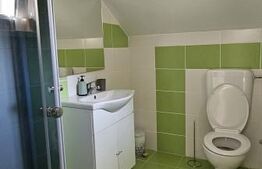 Casă în inima naturii, 140 mp  –  la doar 15 minute de Hunedoara