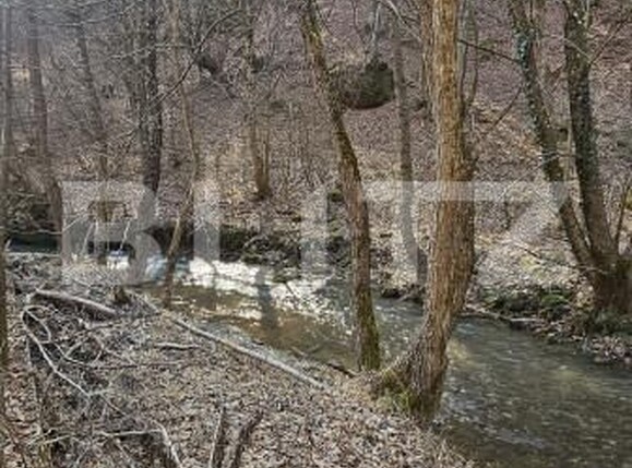 Casa de vânzare 4 camere Hunedoara - 167050CV | BLITZ Deva | Poza5