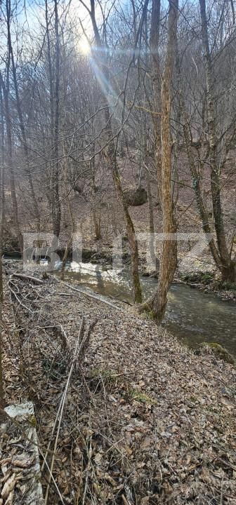 Casa de vânzare 4 camere Hunedoara - 167050CV | BLITZ Deva | Poza5