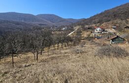 Teren intravilan de vanzare, 1550 mp, cu priveliște panoramică, Deva