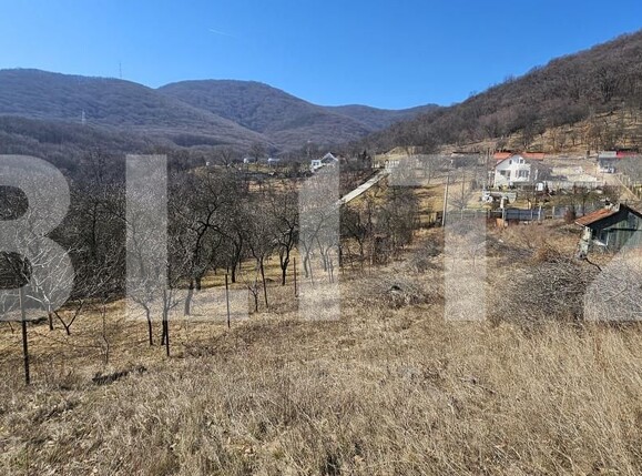 Teren de vânzare Cetate - 167427TV | BLITZ Deva | Poza2