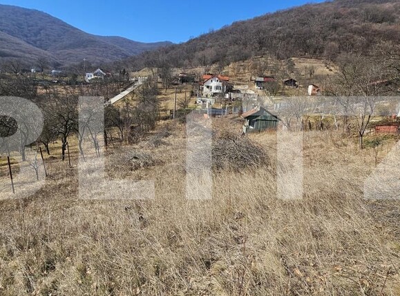 Teren de vânzare Cetate - 167427TV | BLITZ Deva | Poza3