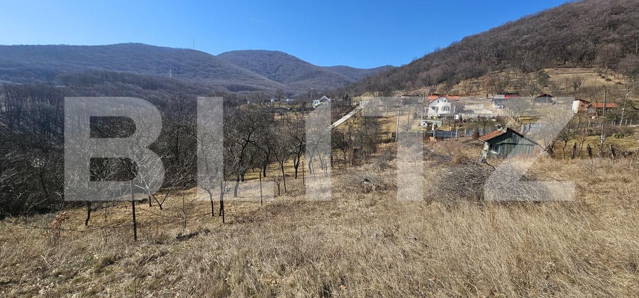 Teren de vânzare Cetate - 167427TV | BLITZ Deva | Poza2